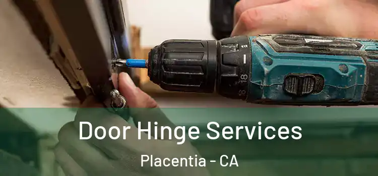 Door Hinge Services Placentia - CA