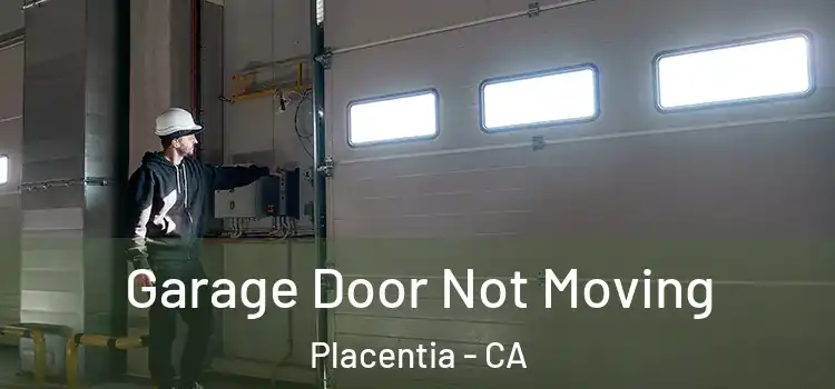  Garage Door Not Moving Placentia - CA