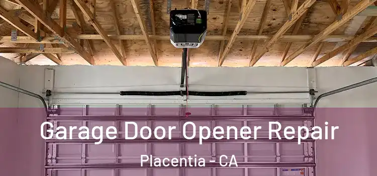  Garage Door Opener Repair Placentia - CA