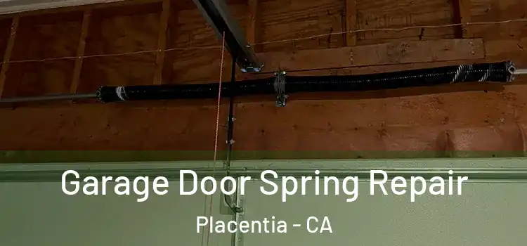  Garage Door Spring Repair Placentia - CA