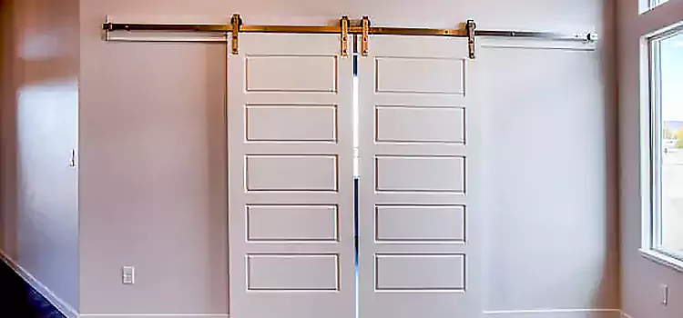 Glass Barn Door with Installation Hardware Kit Placentia