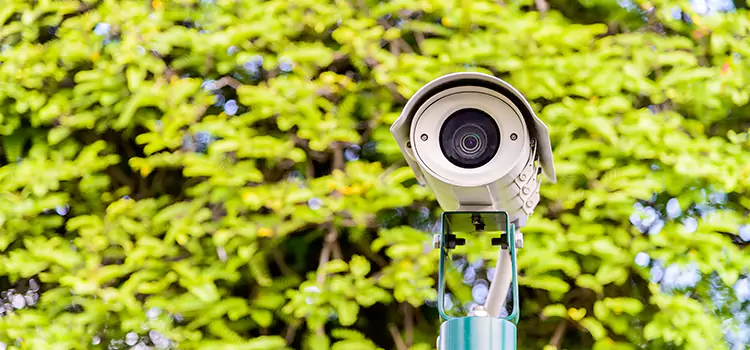 Advanced Surveillance Solutions for Every Need in Placentia