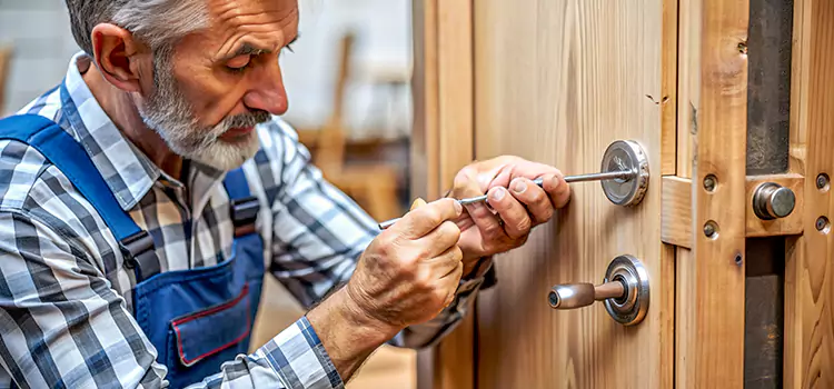 Mortise Replacement Lock Placentia