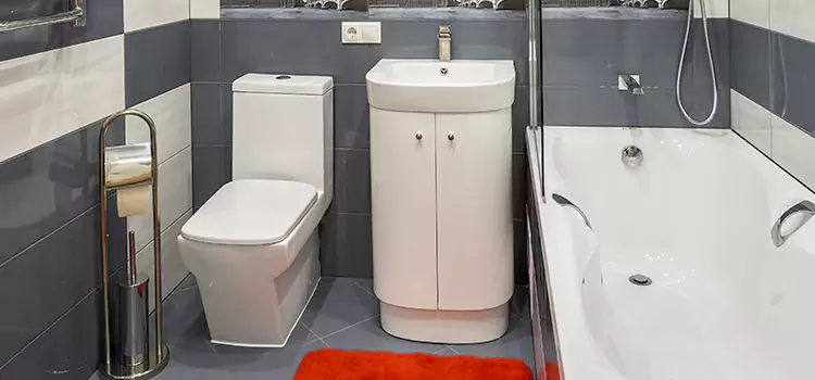Hansgrohe Shaving Mirror Placentia