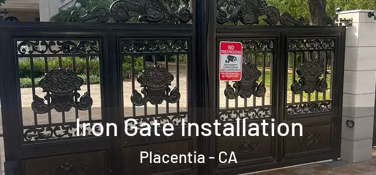 Iron Gate Installation Placentia - CA