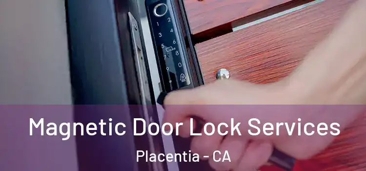 Magnetic Door Lock Services Placentia - CA